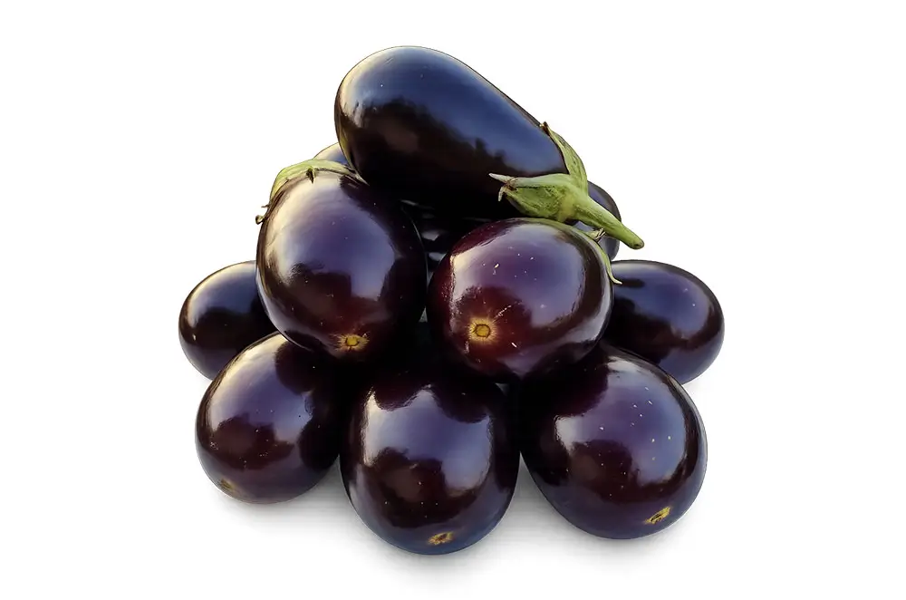 Aubergine-Noire