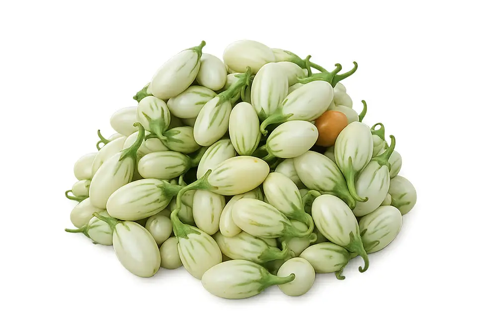 Petite-Aubergine-Taloua