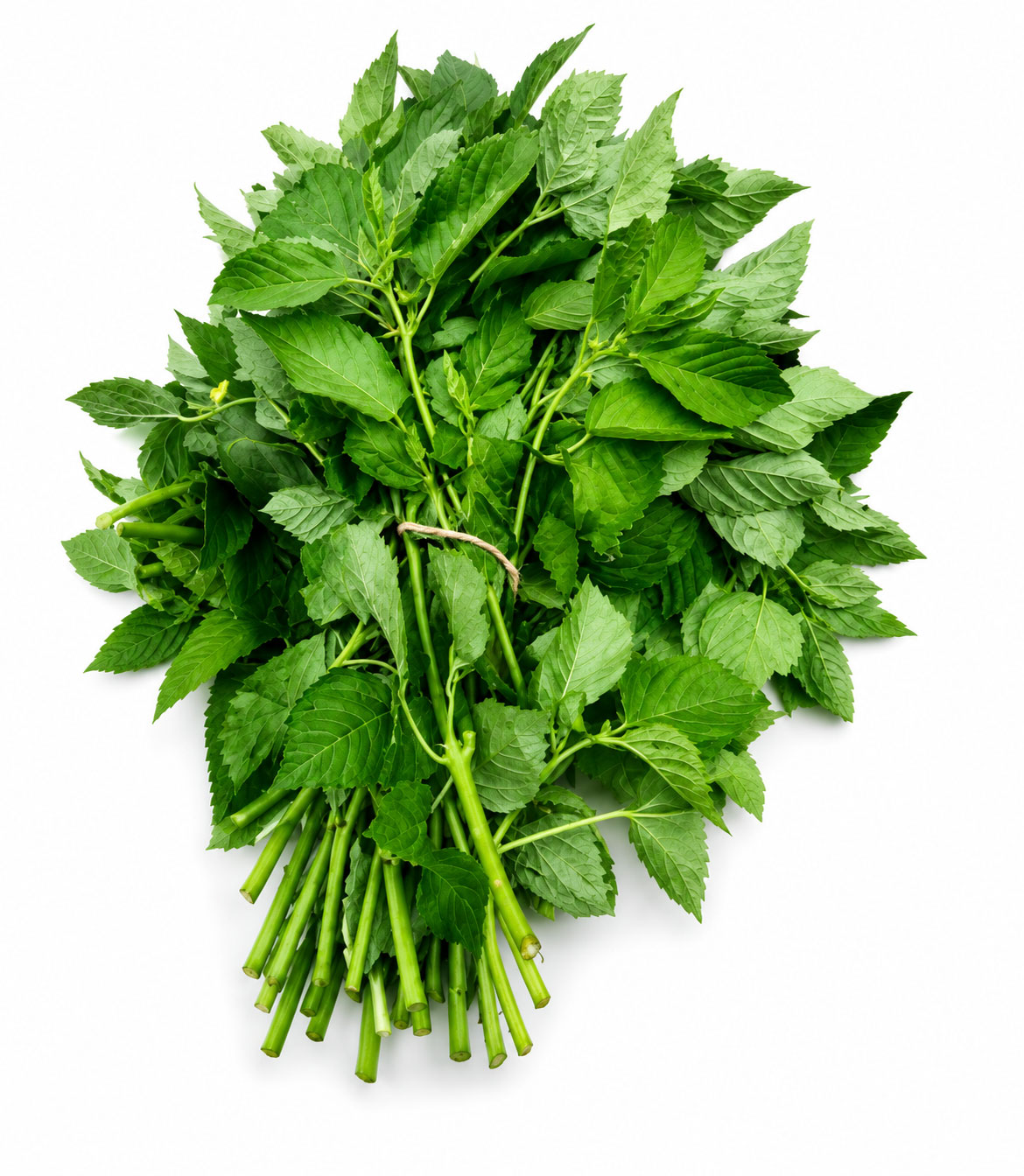 Jute Leaves